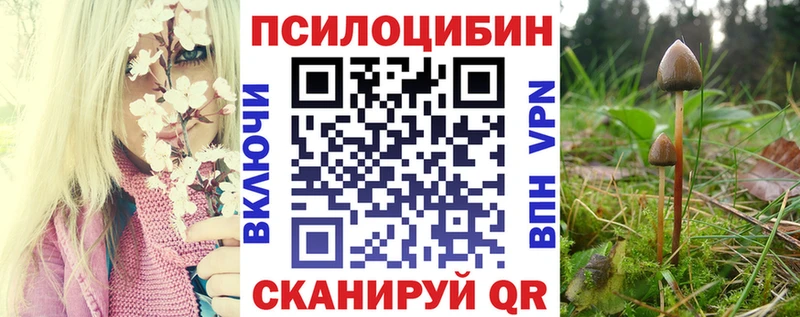 Купить  Уварово  Галлюциногенные грибы GOLDEN TEACHER 